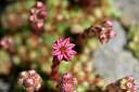 BUITEN BEELD Foto: 444257