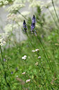 BUITEN BEELD Foto: 444260