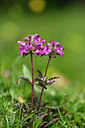 BUITEN BEELD Foto: 444261
