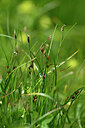 BUITEN BEELD Foto: 444263