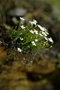 BUITEN BEELD Foto: 444268