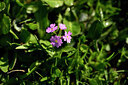BUITEN BEELD Foto: 444270