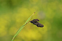BUITEN BEELD Foto: 444273