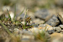 BUITEN BEELD Foto: 444275