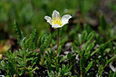 BUITEN BEELD Foto: 444277