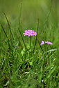 BUITEN BEELD Foto: 444284