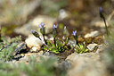 BUITEN BEELD Foto: 444285