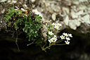BUITEN BEELD Foto: 444286