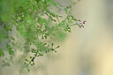 BUITEN BEELD Foto: 444288