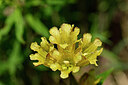 BUITEN BEELD Foto: 444289