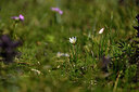 BUITEN BEELD Foto: 444291