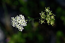 BUITEN BEELD Foto: 444294