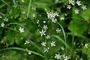 BUITEN BEELD Foto: 444298
