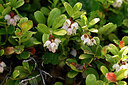 BUITEN BEELD Foto: 444300