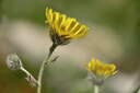 BUITEN BEELD Foto: 444301