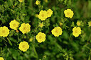 BUITEN BEELD Foto: 444305