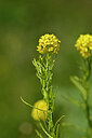 BUITEN BEELD Foto: 444306
