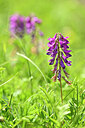 BUITEN BEELD Foto: 444307