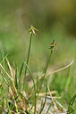 BUITEN BEELD Foto: 444310