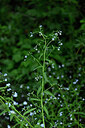 BUITEN BEELD Foto: 444313