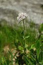 BUITEN BEELD Foto: 444316