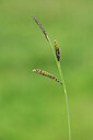 BUITEN BEELD Foto: 444320