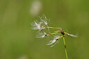 BUITEN BEELD Foto: 444321
