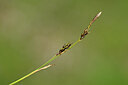 BUITEN BEELD Foto: 444325