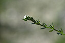 BUITEN BEELD Foto: 444326