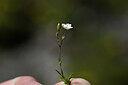 BUITEN BEELD Foto: 444329