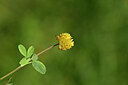 BUITEN BEELD Foto: 444330