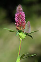 BUITEN BEELD Foto: 444331