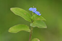 BUITEN BEELD Foto: 444334