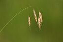 BUITEN BEELD Foto: 444337
