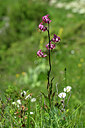 BUITEN BEELD Foto: 444341