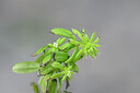 BUITEN BEELD Foto: 444346