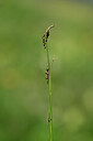 BUITEN BEELD Foto: 444349