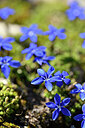 BUITEN BEELD Foto: 444350