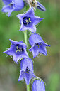 BUITEN BEELD Foto: 444352