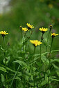 BUITEN BEELD Foto: 444354