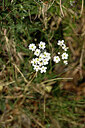 BUITEN BEELD Foto: 444359