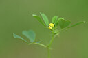 BUITEN BEELD Foto: 444365