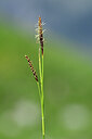 BUITEN BEELD Foto: 444372