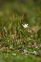 BUITEN BEELD Foto: 444375