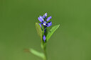 BUITEN BEELD Foto: 444376