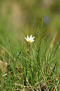 BUITEN BEELD Foto: 444377