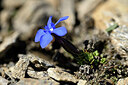 BUITEN BEELD Foto: 444382