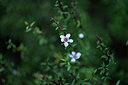 BUITEN BEELD Foto: 444384