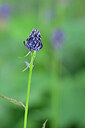 BUITEN BEELD Foto: 444390
