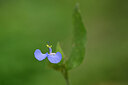 BUITEN BEELD Foto: 444394